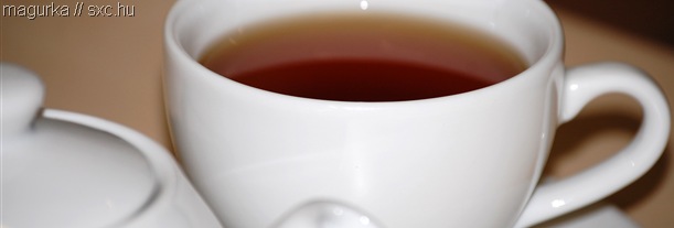 NICE CUP OF TEA_I really like this photo of a cup of tea, by user magurka on the stock.xchng.