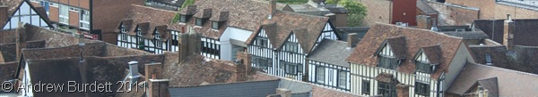 A MOCKING BIRD_A bird's-eye view of some of the Tudor/mock-Tudor houses.