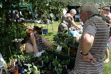 THE PLANT STALL_You're supposed to be selling, Gill, not talking!