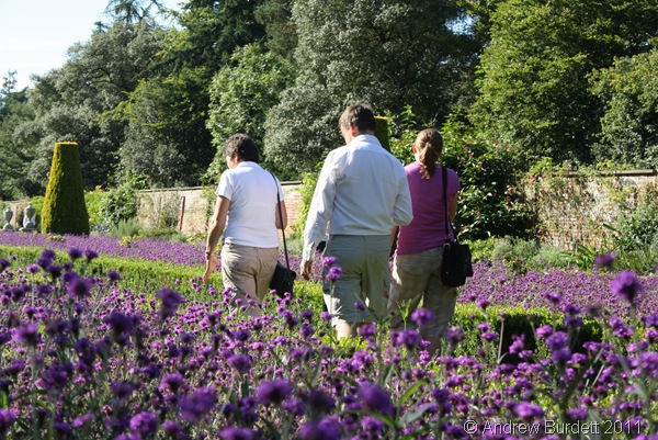 AFTERNOON STROLL_Mum, Dad, and Harriet walking through a lavendar garden.