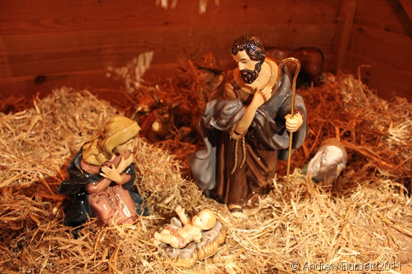 CHRISTMAS CRIB SCENE_Taken at St Luke's, this is the Christmas nativity scene under the High Altar this Christmastime.
