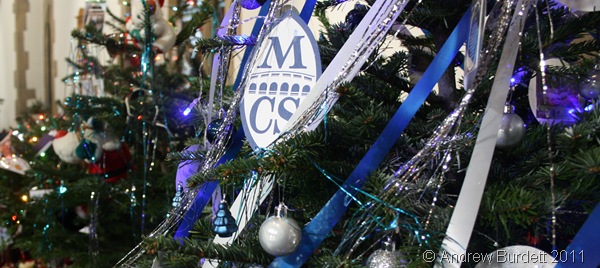 ANCIENT TREE_The Civic Society's Christmas tree.