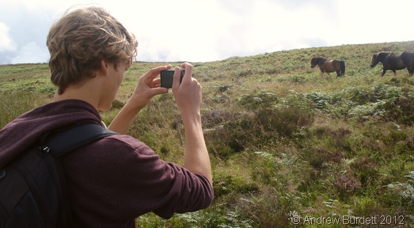 PICTURE PERFECT: Ed paused to admire some of the wild horses. (0246_DSC04218_ARB)