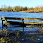 Only those with wellington boots may wish to sit on this bench, due to the high water level.