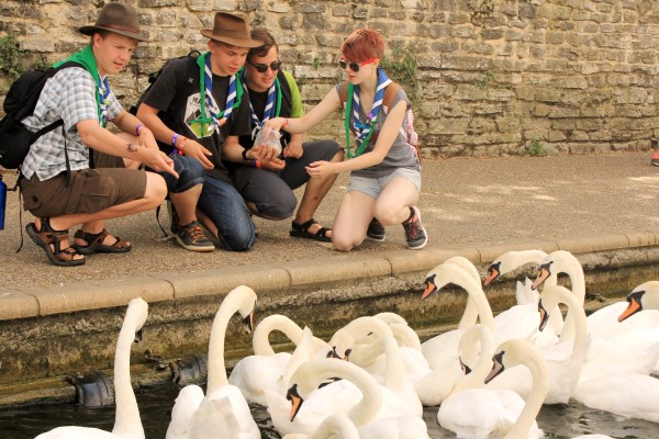 Four of the Finns feed swans at Windsor riverside.