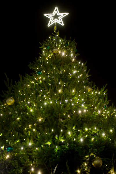 The fir outside the Town Hall is topped with an illuminated star.