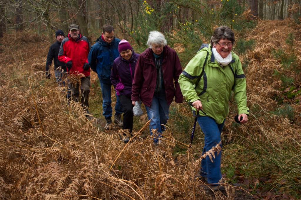 Walkers on the St Luke's Boxing Day ramble 2014.