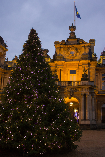 A Christmas tree outside Waddesdon Manor.