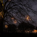 Illuminations hang on the branches of a tree, whilst in the background the sun sets.
