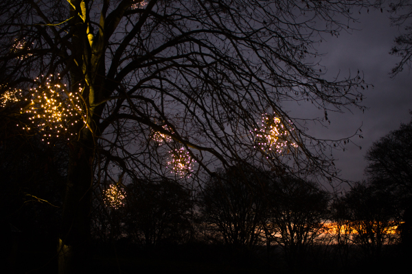 Illuminations hang on the branches of a tree, whilst in the background the sun sets.