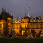 A row of illuminated firs at the top of the Waddesdon Manor driveway.