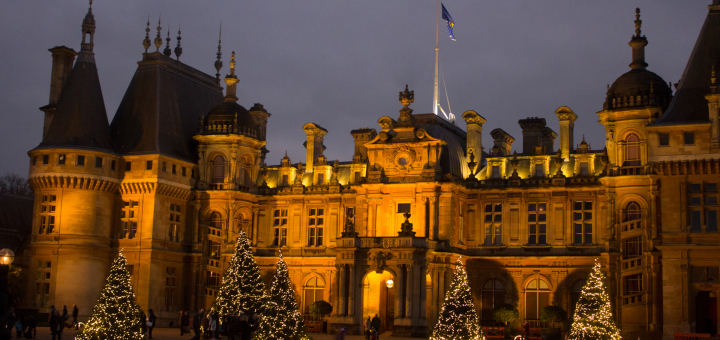 A row of illuminated firs at the top of the Waddesdon Manor driveway.