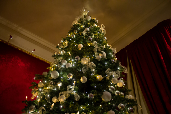A white Waddesdon Christmas tree stands in the corner of a red-decorated room.